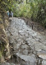 Can I bring my Parkinson’s to Machu Picchu? (Part 1) - Unshakable Hiker