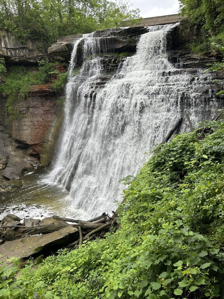 A rushing falls goes over rocks with green brush nearby.