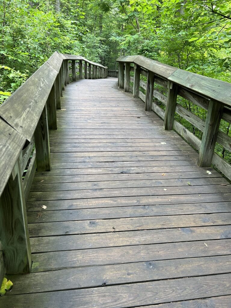 A wooden boardwalk with rails is empty of people.