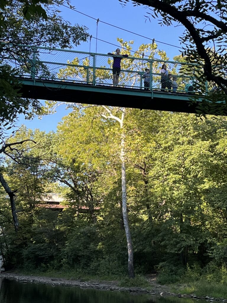 People look down toward a ravine from a green suspension bridge.