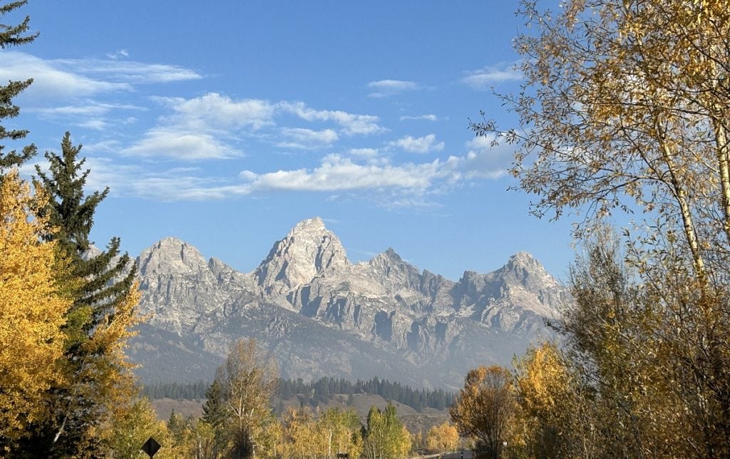 The iconic 3 Teton mountains are surrounded by yellows and oranges of autumn.