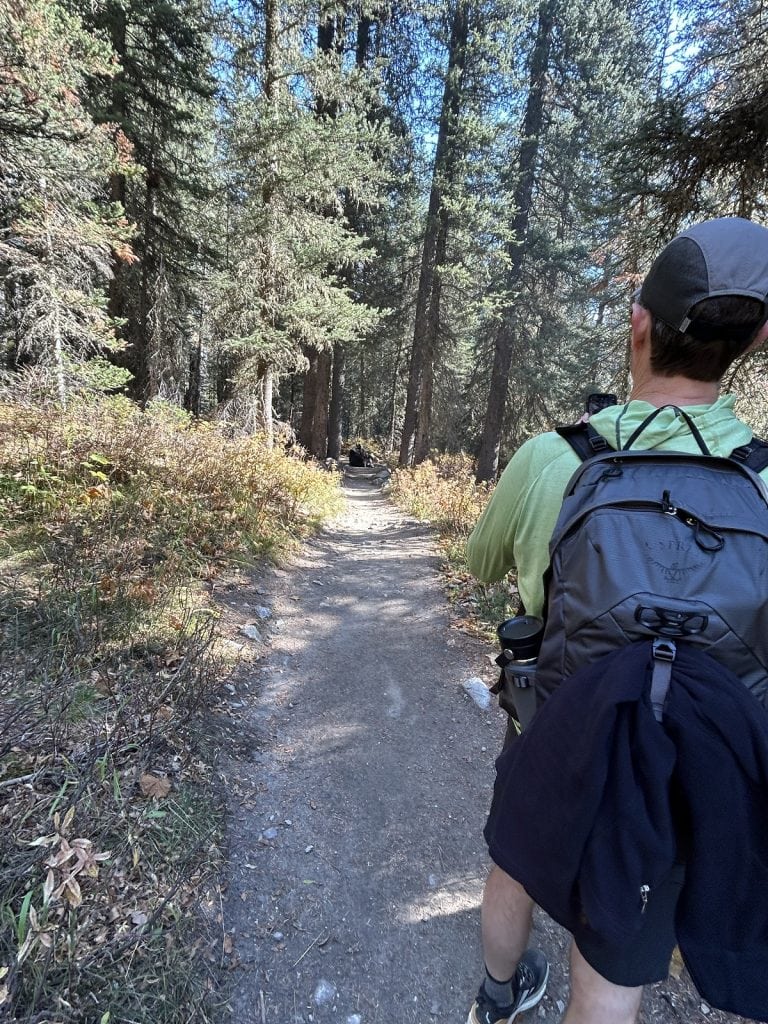 A man takes a picture of a moose sitting on a trail.