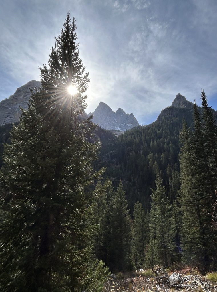 The setting sun peeks through trees and behind mountains.