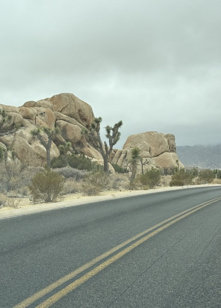 Clouds that are light are shown off the side of the road.