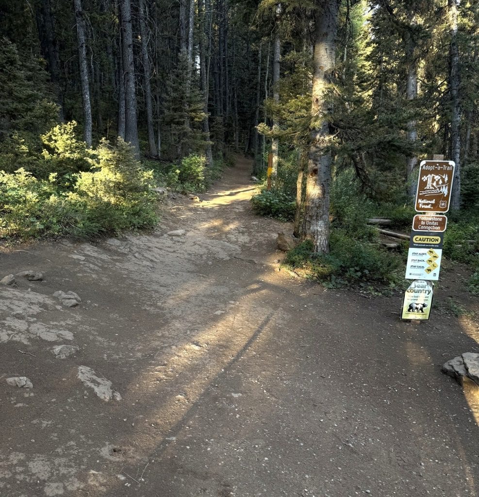 The start of a trail is marked by three different signs.