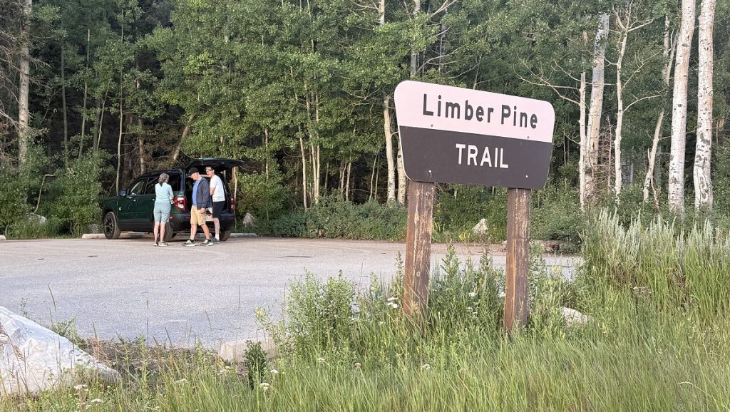 A national park sign says "Limber Pine Trail in front of the parking lot.
