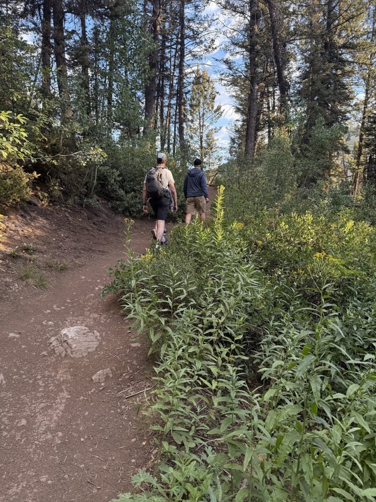 A hiker goes up a hill on a smooth trail.