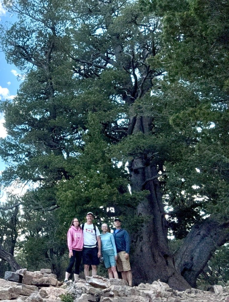 Four people stand near a huge pine tree for a photo.