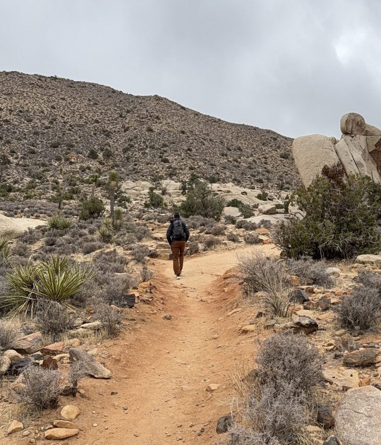 A hiker walks away on a wide dirt trail.