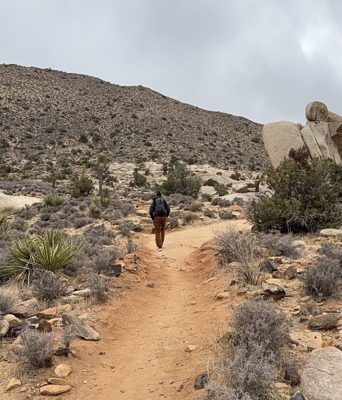 A hiker walks away on a wide dirt trail.