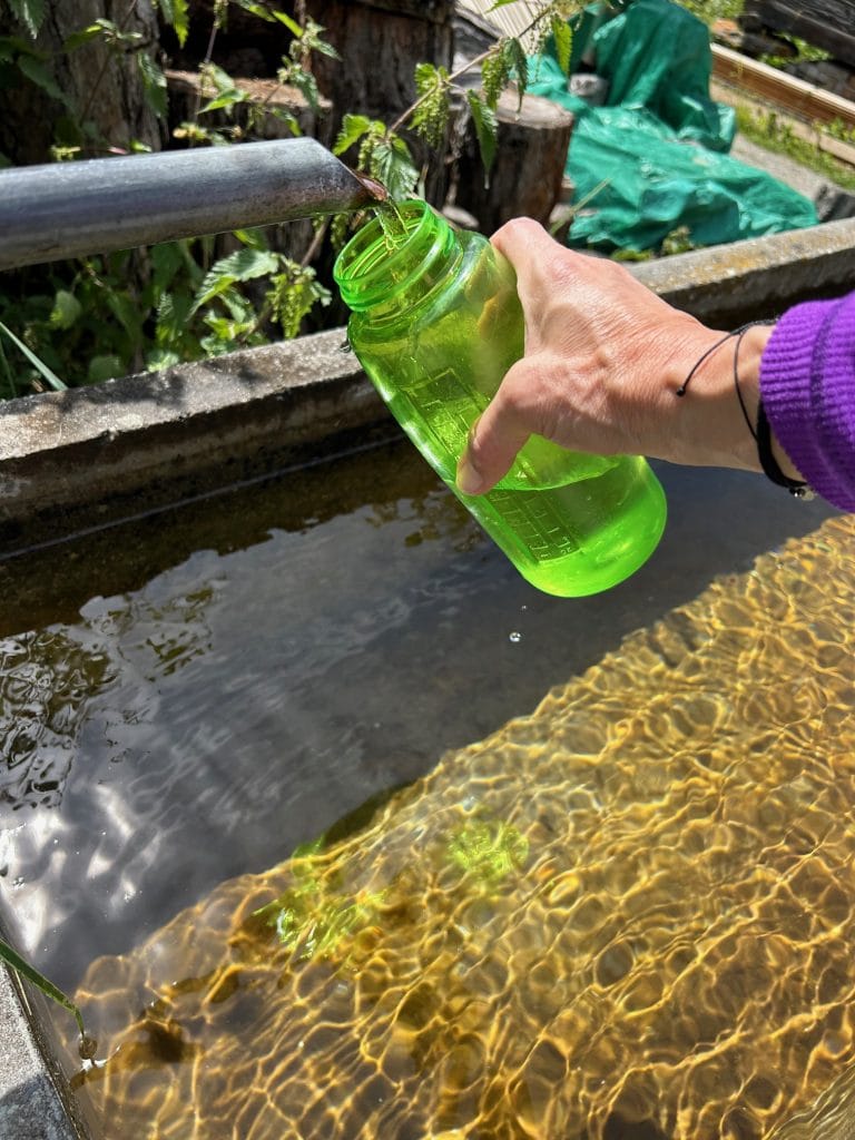 A hiker fills a jar from running water into the trough.
