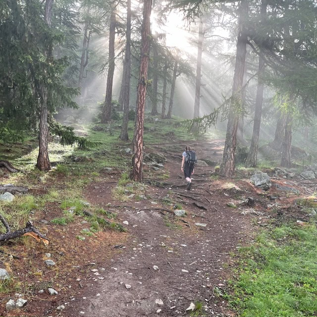 A female hiker is shown far down a path with ray of sun between the trees.