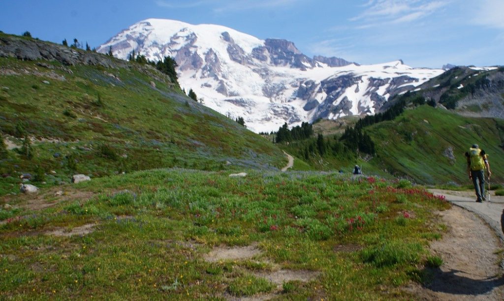 Mount Rainier is in the distance as hikers move toward it.
