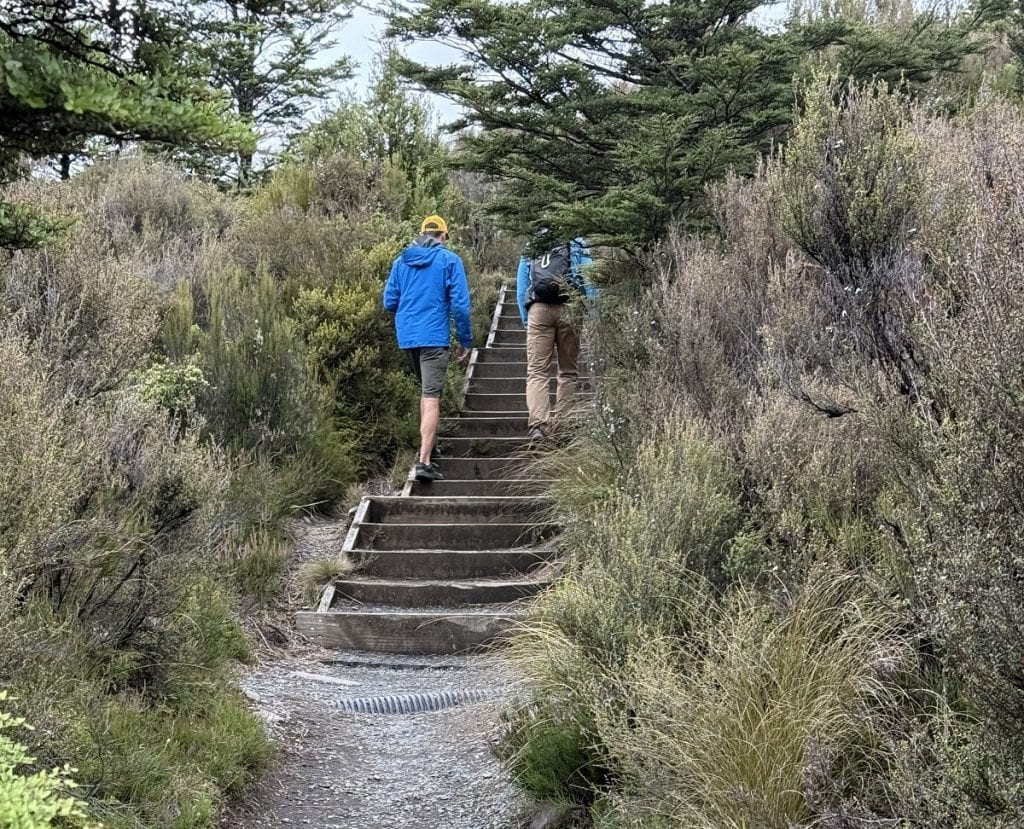 Two men in rain jackets walk up wooded stairs on a trail.