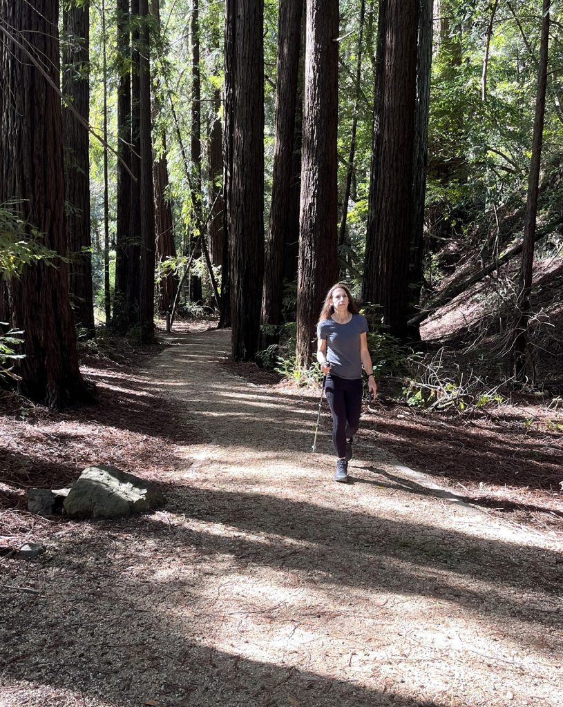A female hiker walks along a path amid redwood trees.