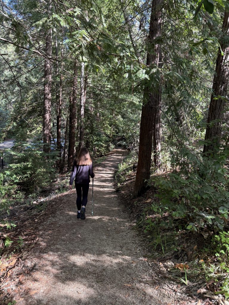 A female hiker walks along a path shaded by big trees.