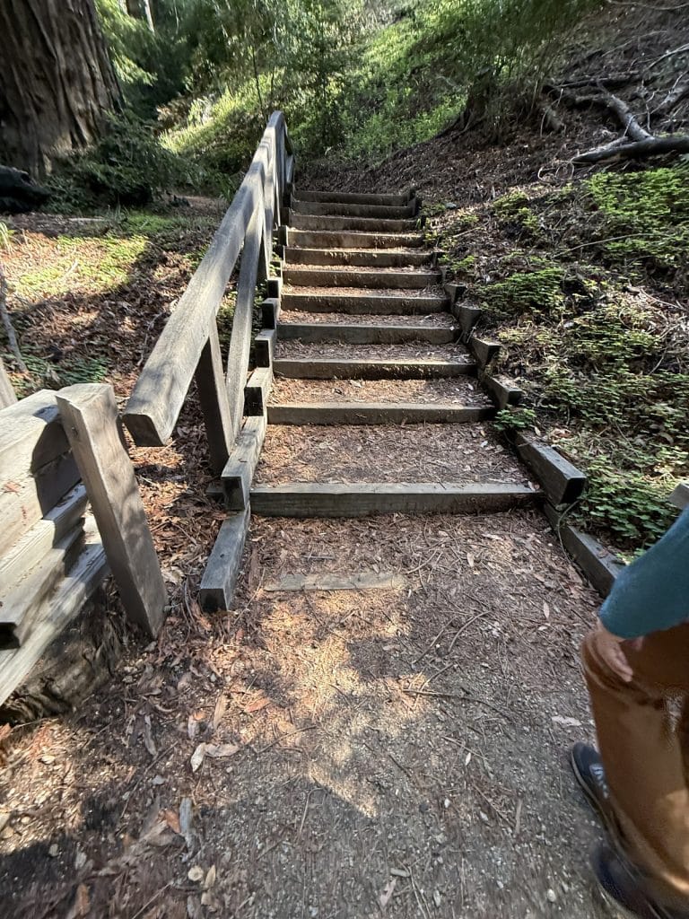 A staircase made of dirt and wood is shown going up.