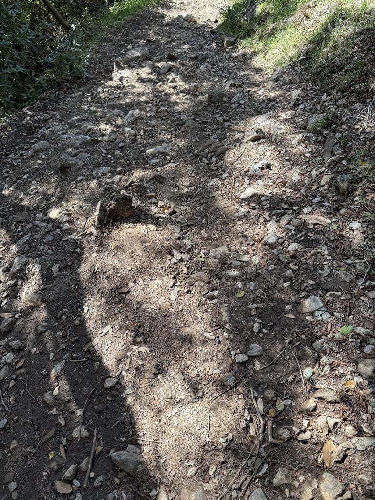 A trail going down shows a steep decline and rocks in the dirt.