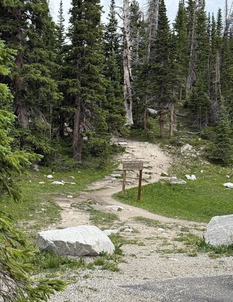 A trail starts from a paved street and goes up into woods.