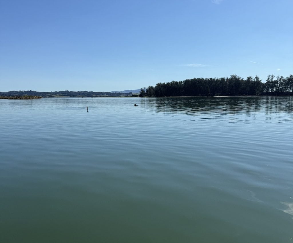 A view of the bay's calm, glassy water surface.