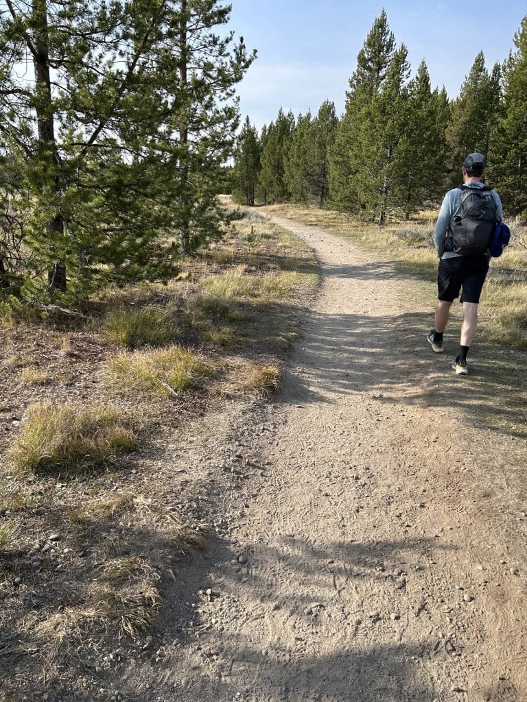 A man walks on a smooth path toward some trees.