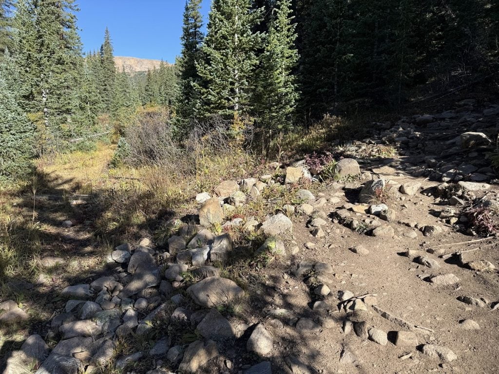 A rocky and rooted trail is shown.