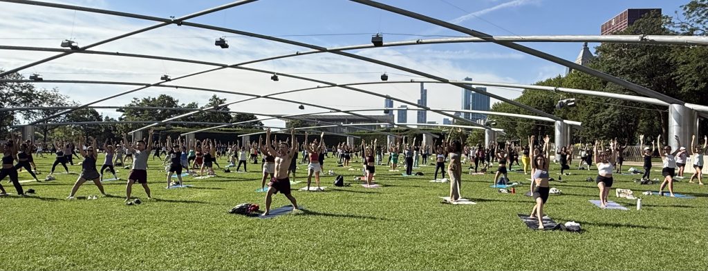 A wide shot of a grassy field with at least 100 yoga practicers on it.