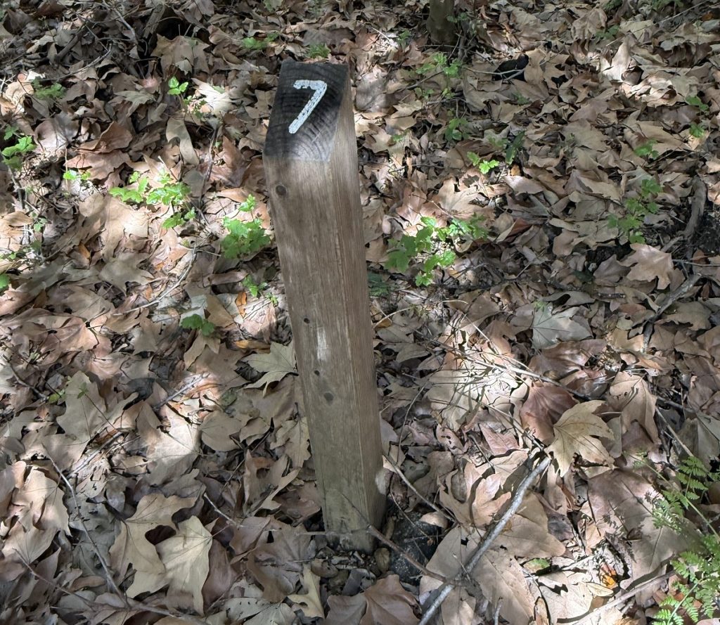 A post with the number 7 sticks up from the ground.