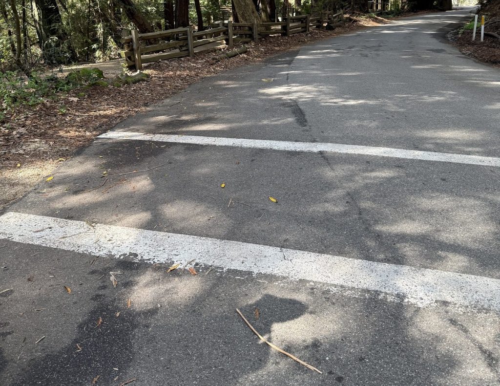 A crosswalk on a street leads to the woods.
