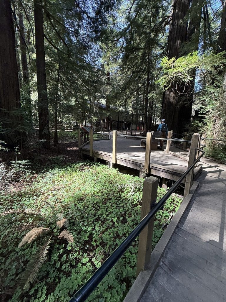 A wooden deck has ramps that lead to the street.
