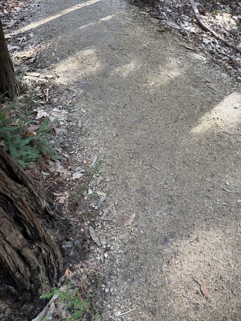 A trail is smooth, made of crushed rock.