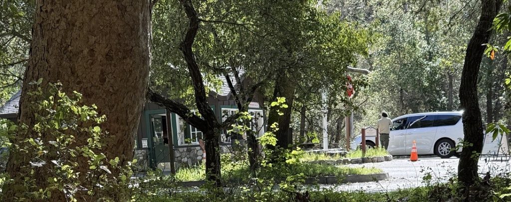 A small building is in a parking lot through the trees.