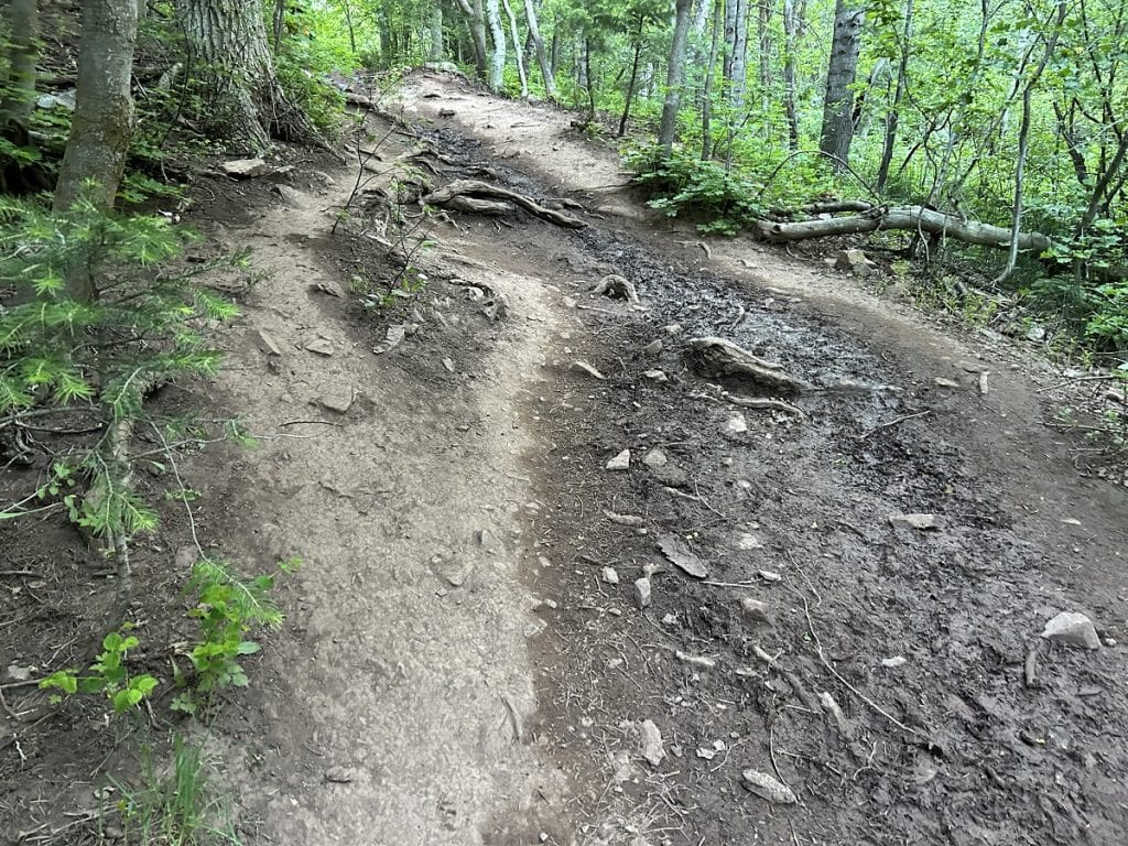 A view of a trail with lots of rocks.