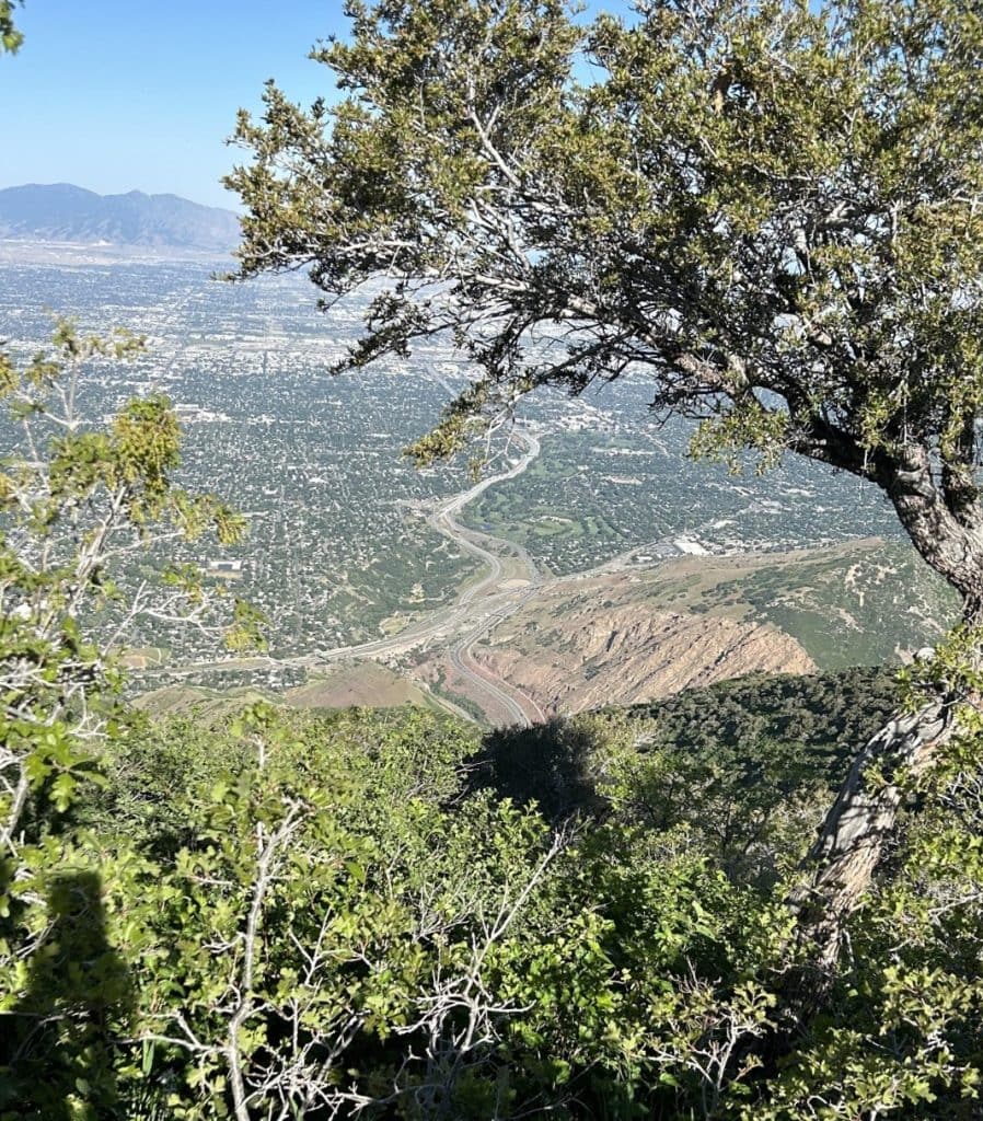 A view of the valley below from the mountain trail.