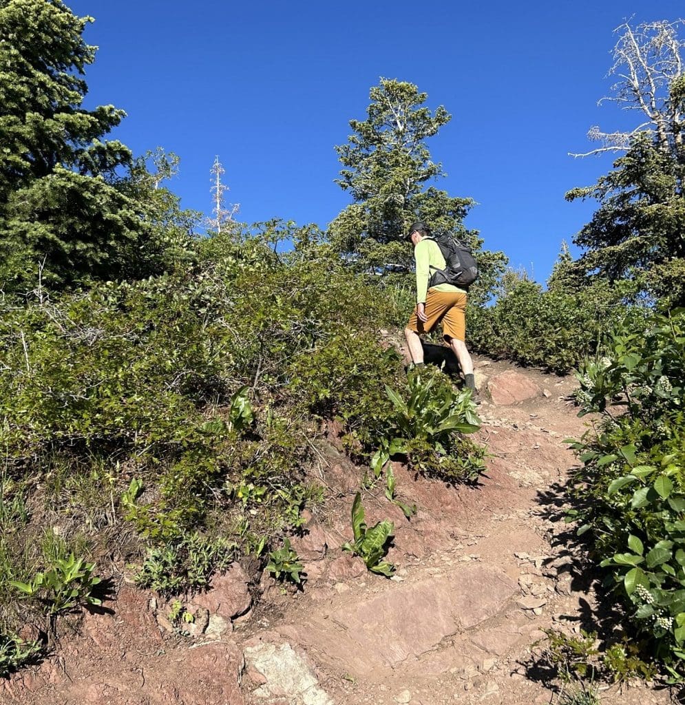 A man wearing a hat hikes in the forest on a dirt trail.