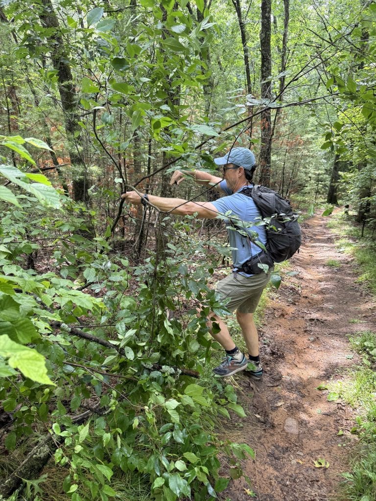 A man takes a large branch and tries to clear it from the trail.