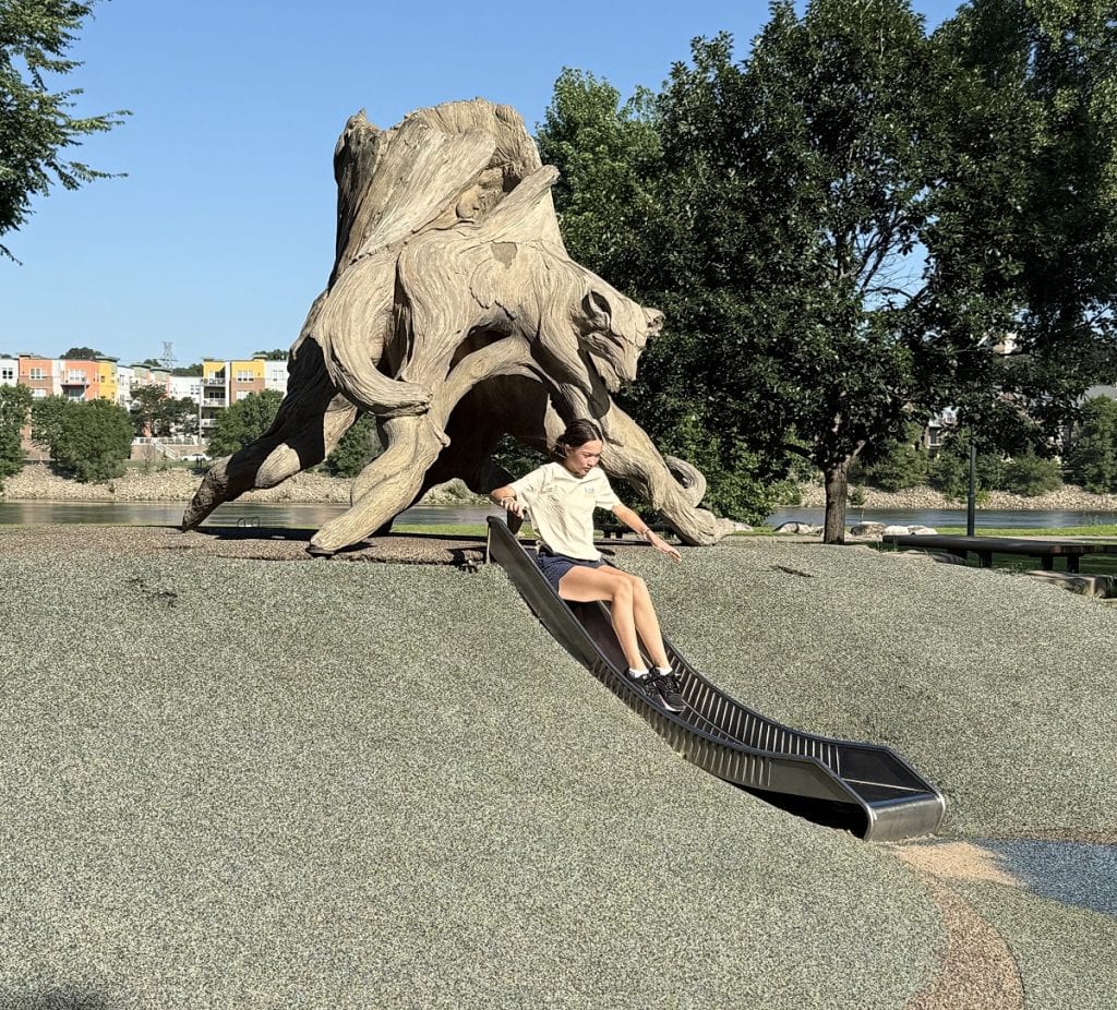 A girl goes down a slide from an oddly shaped old tree root.