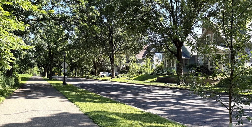 A treelined street has houses on it obscured by bushes.