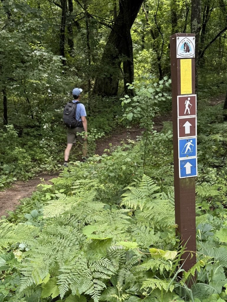 A pole shows the direction to go at a trailhead.