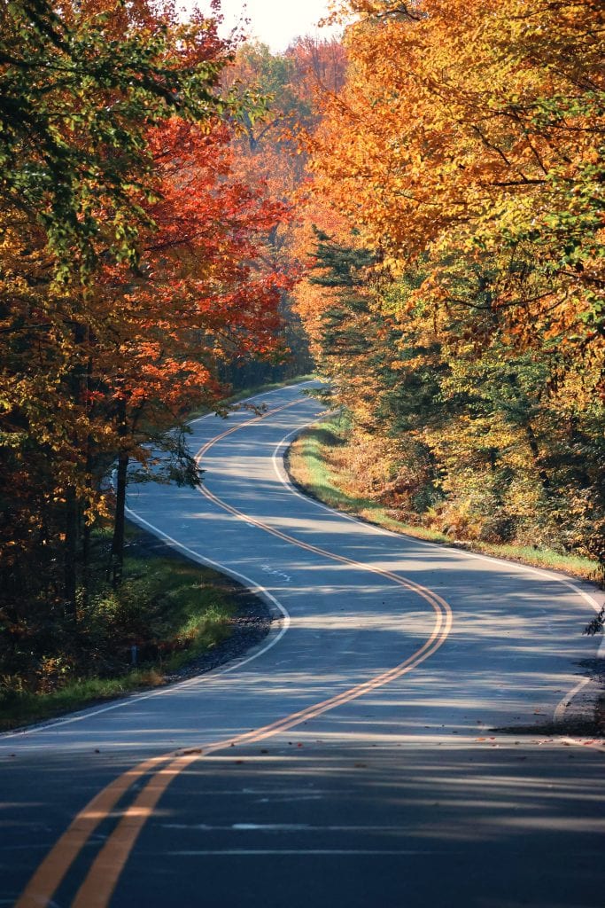 A winding road cuts through a fall colored forest.